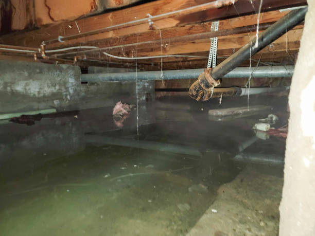  Pender, NE Water damage restoration Pros