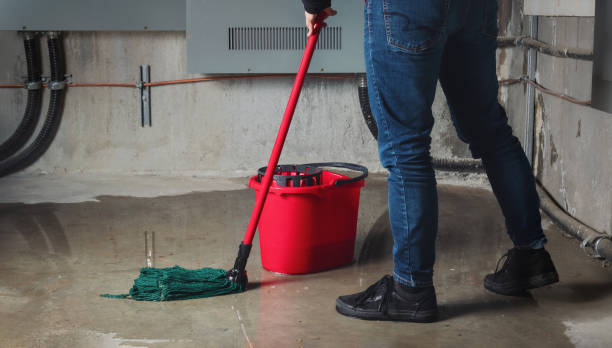 Best Water damage restoration near me  in Pender, NE