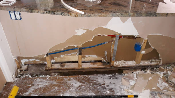 Best Carpet water damage restoration  in Pender, NE