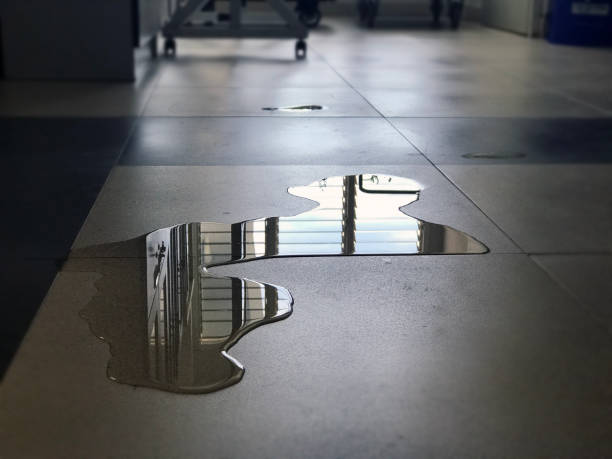 24/7 water damage repair in NE