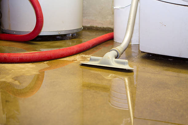 Best Local water damage restoration  in Pender, NE