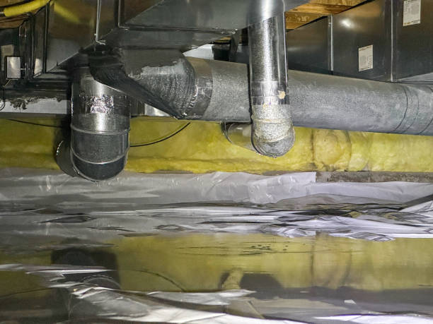 Water damage restoration mold remediation in NE