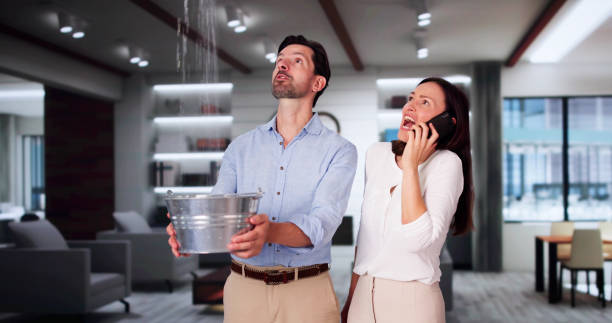 Best Emergency water damage restoration  in Pender, NE