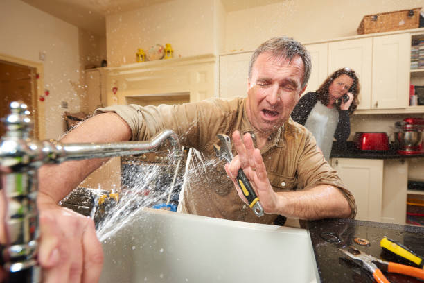 Best Water damage cleanup near me  in Pender, NE